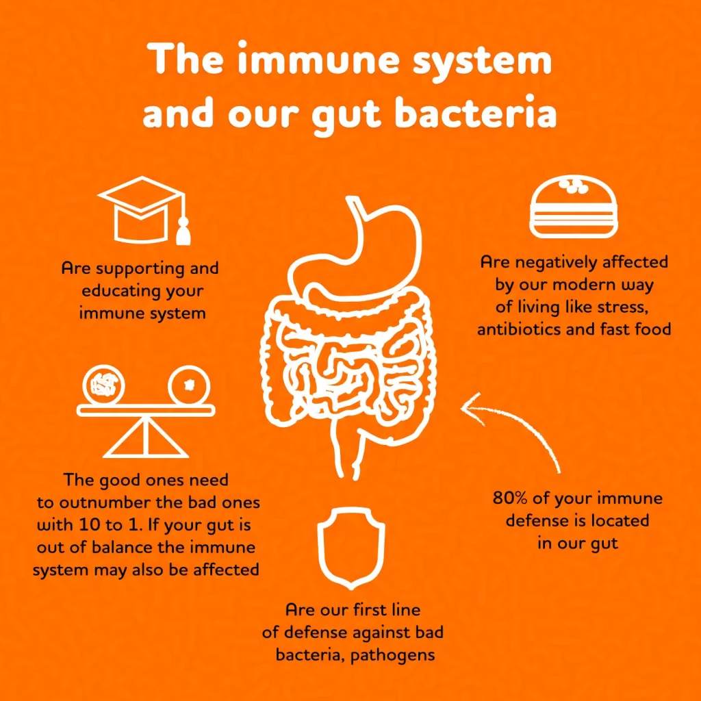 Immune-boosting gut health