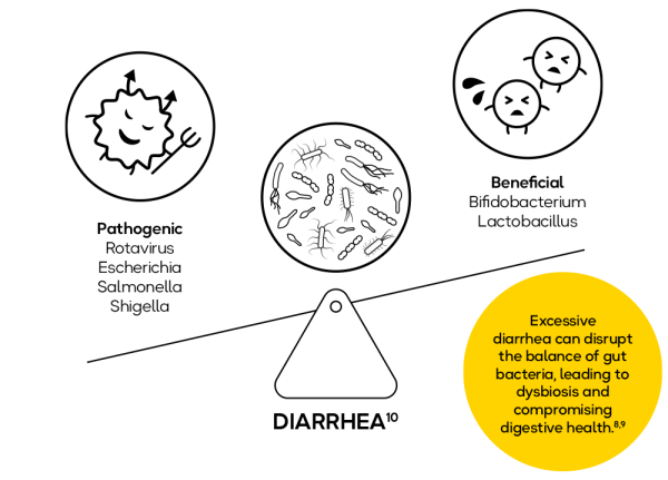 Diarrhea in Children Probiotic Support for Kids | BioGaia Malaysia
